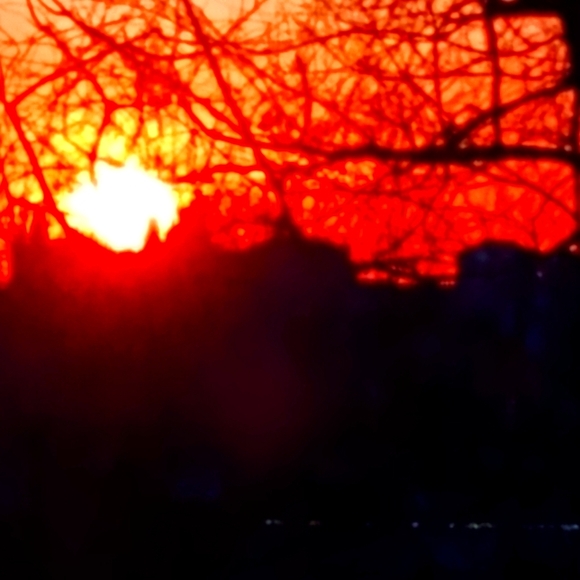 Meet your Posher, Ellie - Picture 1 of 1